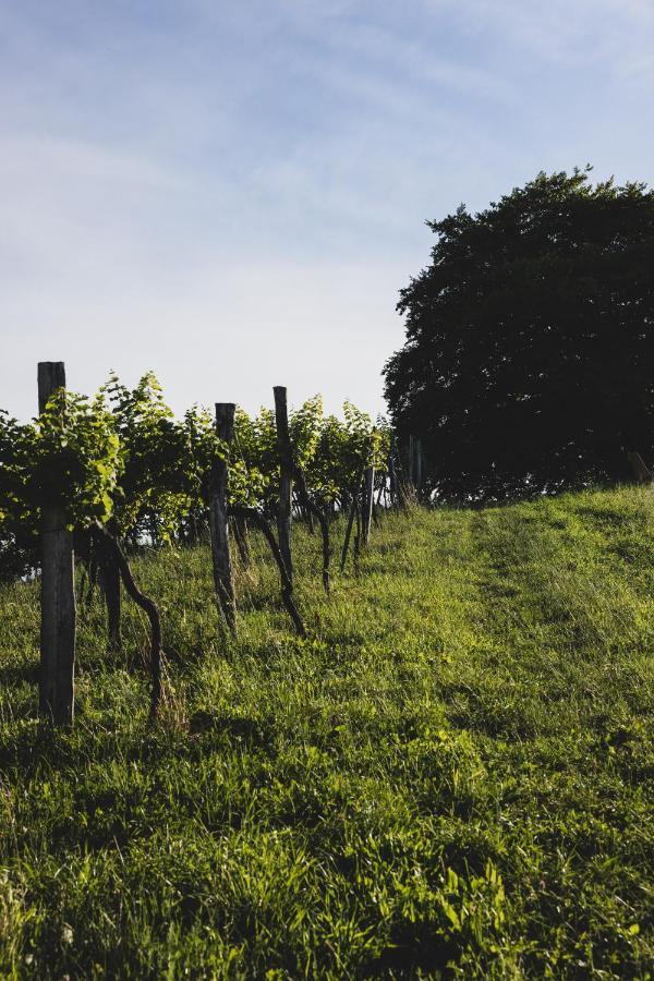 Bed and Breakfast Weingut Peter Grill Лойчах Екстер'єр фото